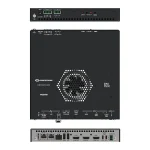 DM-NVX-384