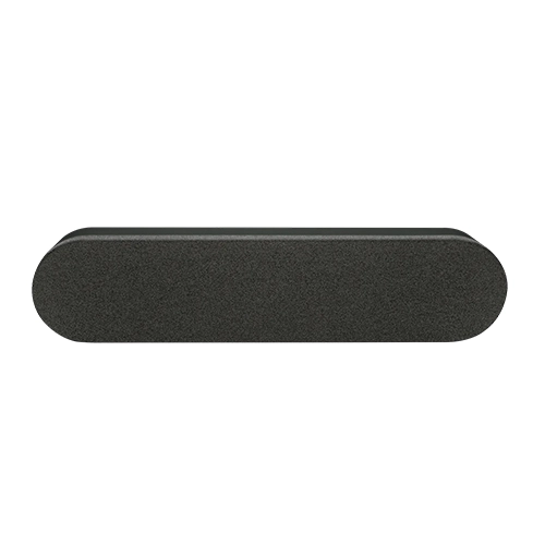 Rally Speaker