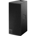 Y10P loudspeaker