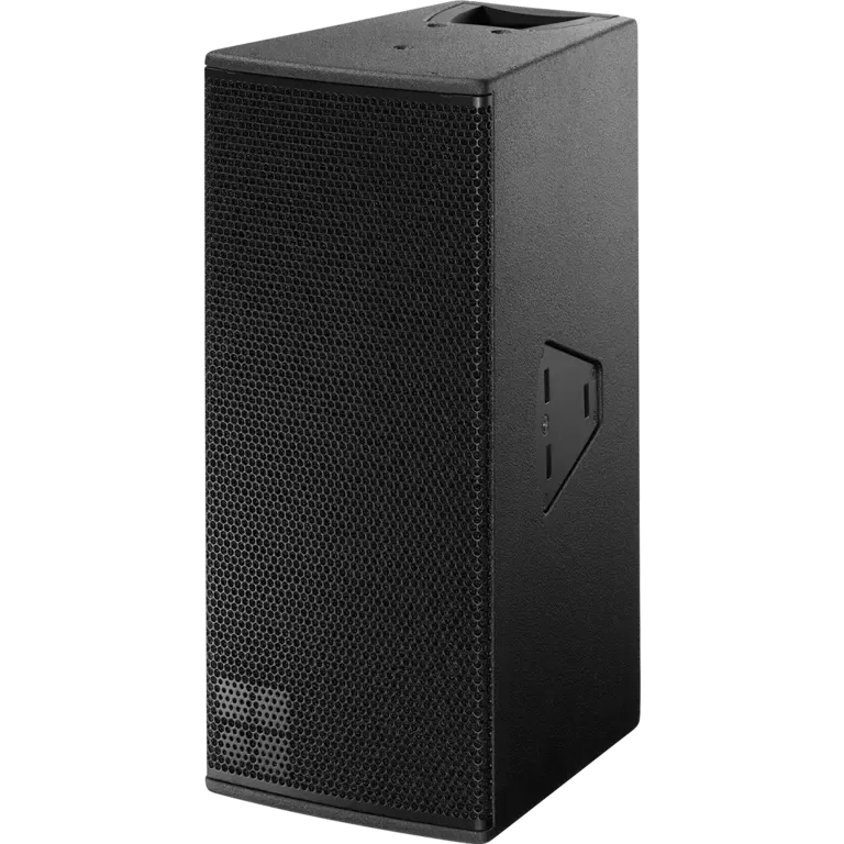 Y10P loudspeaker